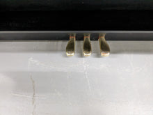 Load image into Gallery viewer, Casio Celviano AP-250 digital piano in satin black finish stock number 23174