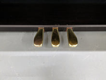 Load image into Gallery viewer, Casio Celviano AP-80R Digital Piano / arranger in rosewood stock # 23259