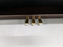 Load image into Gallery viewer, CASIO CELVIANO AP-220 DIGITAL PIANO IN DARK ROSEWOOD stock #23308