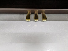 Load image into Gallery viewer, CASIO CELVIANO AP-420 DIGITAL PIANO IN DARK ROSEWOOD stock #23338