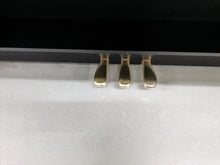 Load image into Gallery viewer, Casio Celviano AP-250 digital piano in satin black finish stock number 23415