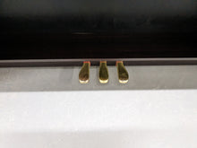 Load image into Gallery viewer, Casio Celviano AP-80R Digital Piano / arranger in rosewood stock # 23422