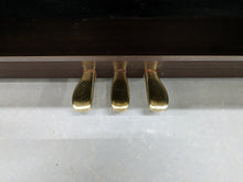 Load image into Gallery viewer, CASIO CELVIANO AP-220 DIGITAL PIANO IN DARK ROSEWOOD stock #24100