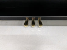 Load image into Gallery viewer, Casio Celviano AP-250 digital piano in satin black finish stock number 24216