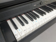 Load image into Gallery viewer, Casio Celviano AP-250 digital piano in satin black finish stock number 24216