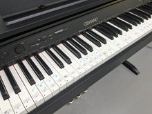 Load image into Gallery viewer, Casio Celviano AP-250 digital piano in satin black finish stock number 24216