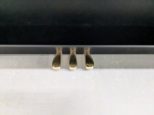 Load image into Gallery viewer, Casio Celviano AP-250 digital piano in satin black finish stock number 24394