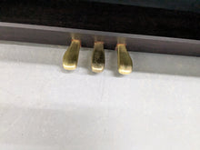 Load image into Gallery viewer, CASIO CELVIANO AP-200 DIGITAL PIANO IN DARK ROSEWOOD stock #25021