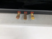 Load image into Gallery viewer, Yamaha Arius YDP-121 Digital Piano and stool in dark rosewood stock nr 25044