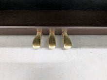 Load image into Gallery viewer, CASIO CELVIANO AP-220 DIGITAL PIANO AND STOOL IN DARK ROSEWOOD stock #25210