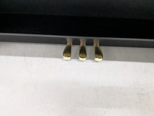 Load image into Gallery viewer, Casio Celviano AP-250 digital piano and stool in satin black finish stock number 25249