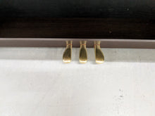 Load image into Gallery viewer, CASIO CELVIANO AP-220 DIGITAL PIANO AND STOOL IN DARK ROSEWOOD stock #25479