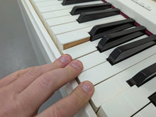 Load image into Gallery viewer, Roland LX-17 Digital Piano Polished White | Flagship Model Stock #26169