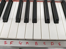 Load image into Gallery viewer, Yamaha P-140 88 Key Weighted Keys Portable piano + stand + pedal stock # 23073