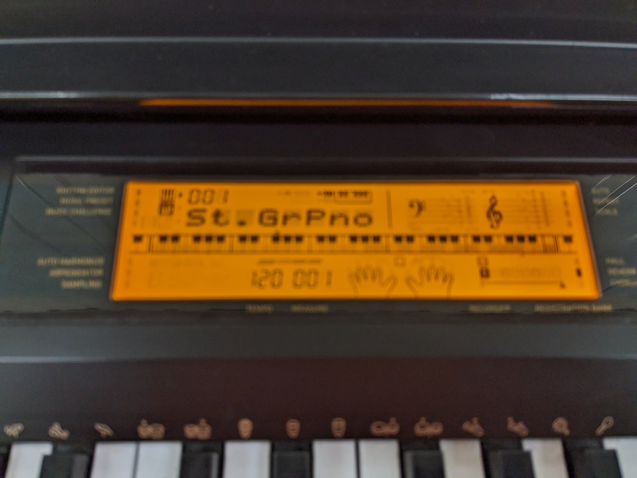 Casio CDP-230R Digital portable piano arranger with stand stock # 2405 ...