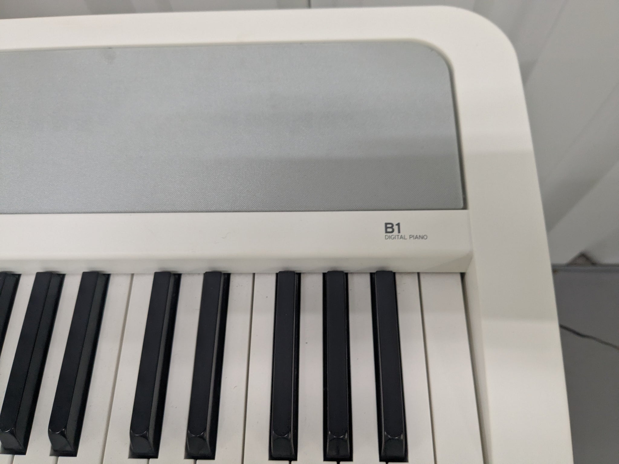 Korg B1 digital piano / keyboard with stand and 3 pedals in white