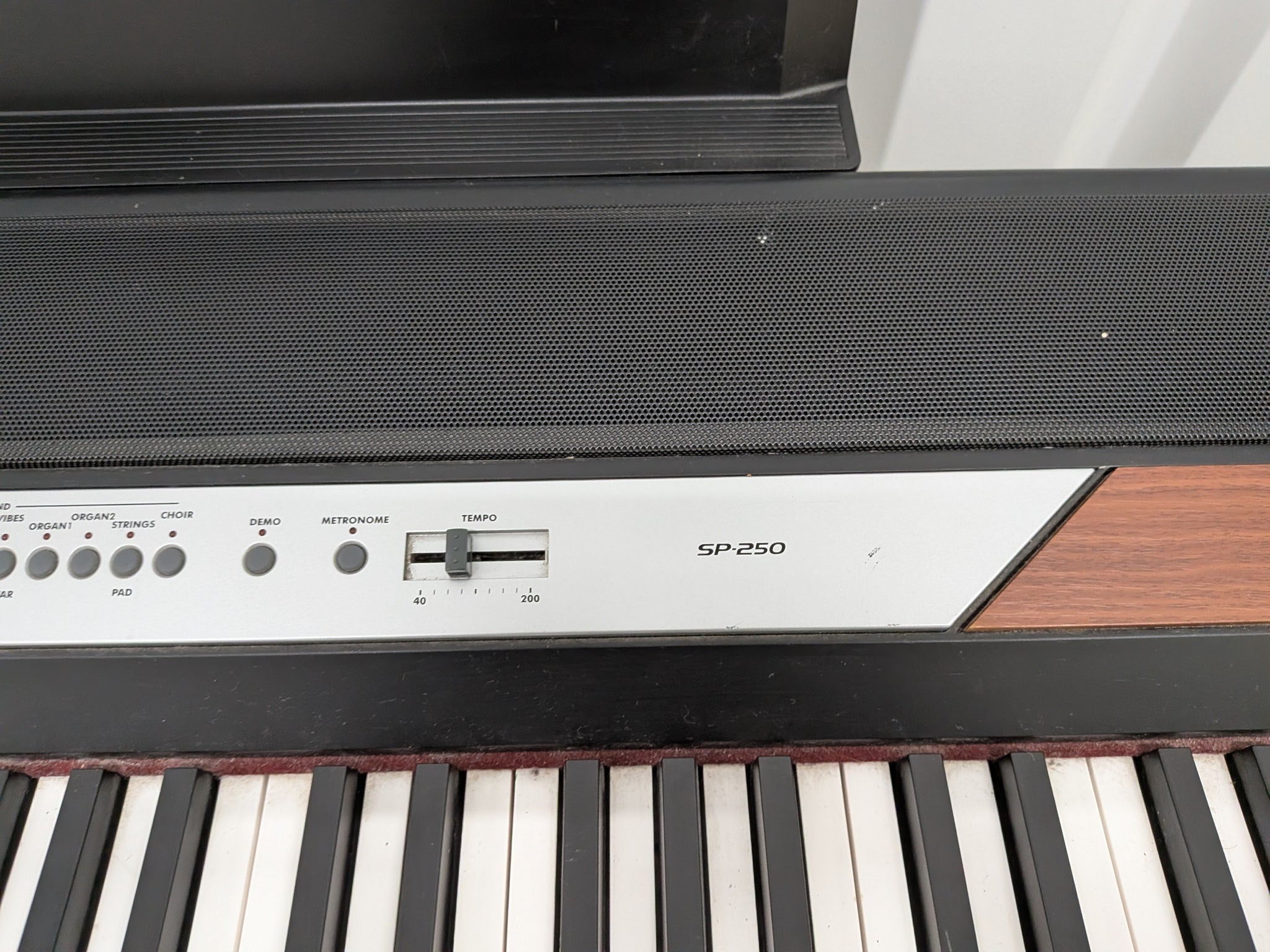 KORG SP-250 88 Key professional Piano with stand stock #26069